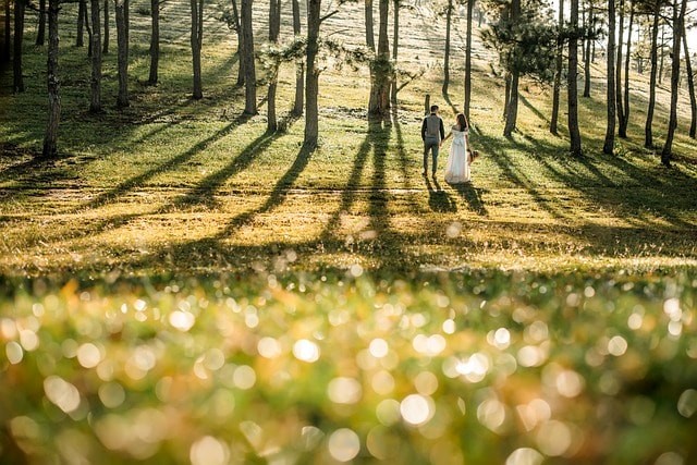 wedding, love, couple, romance, together, nature, outdoors