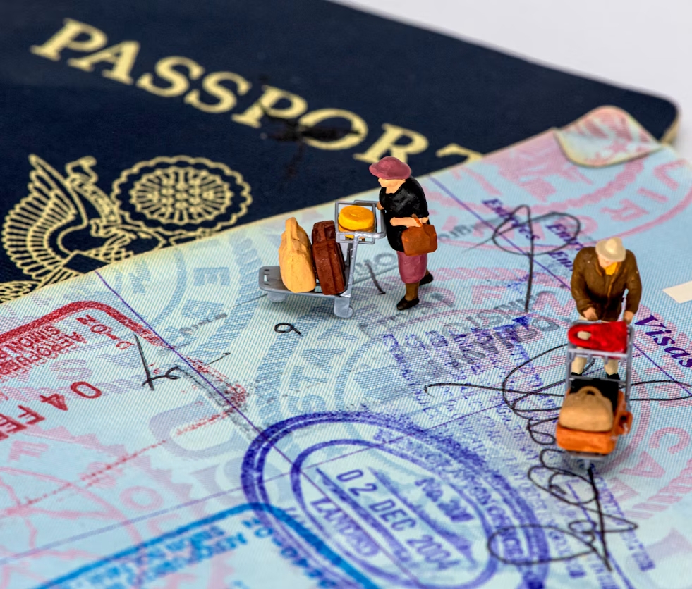 dating scam for immigration